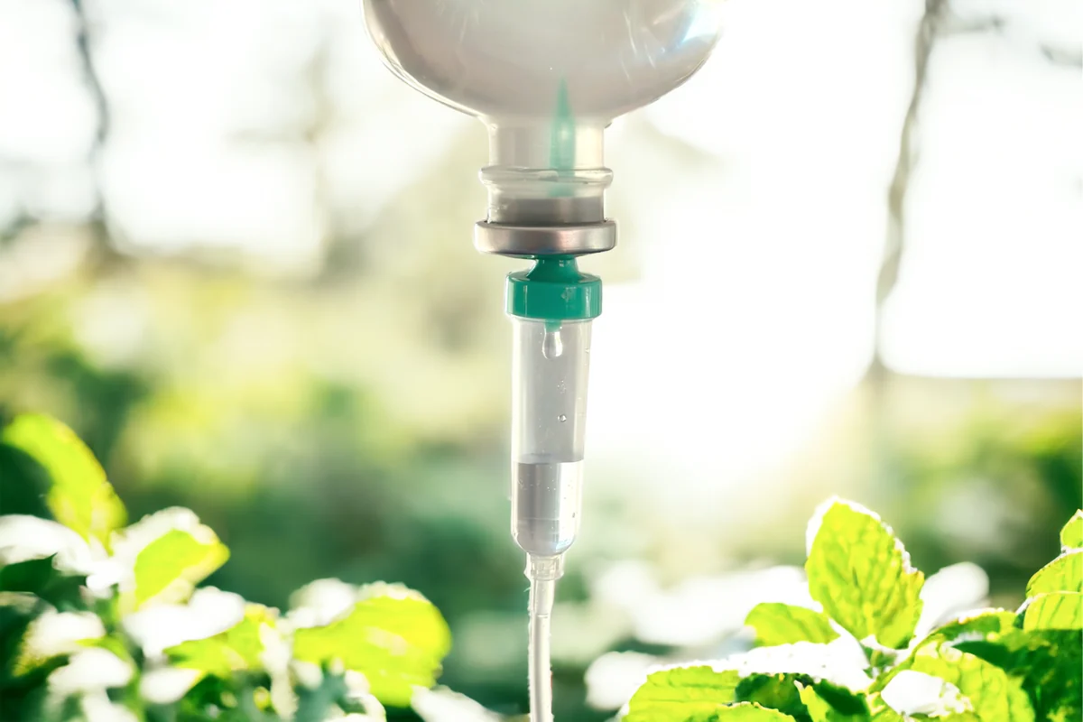 An IV therapy drip with natural botanicals representing physician-formulated IV support at Pure Body Health in South Tempe, AZ