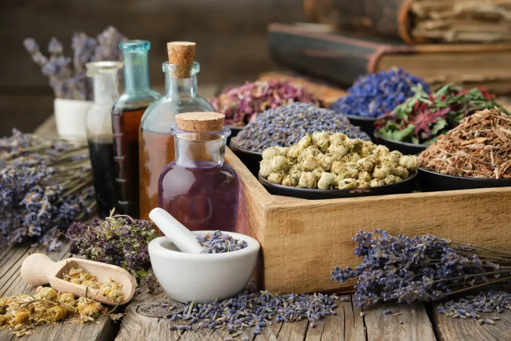 Bowls of dried herbs and flowers with tincture bottles and a mortar and pestle, tools of naturopathic medicine.
